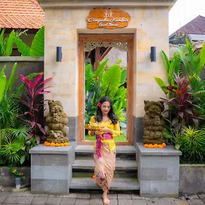house-cempaka-kembar.ubudhotelsnow.com/